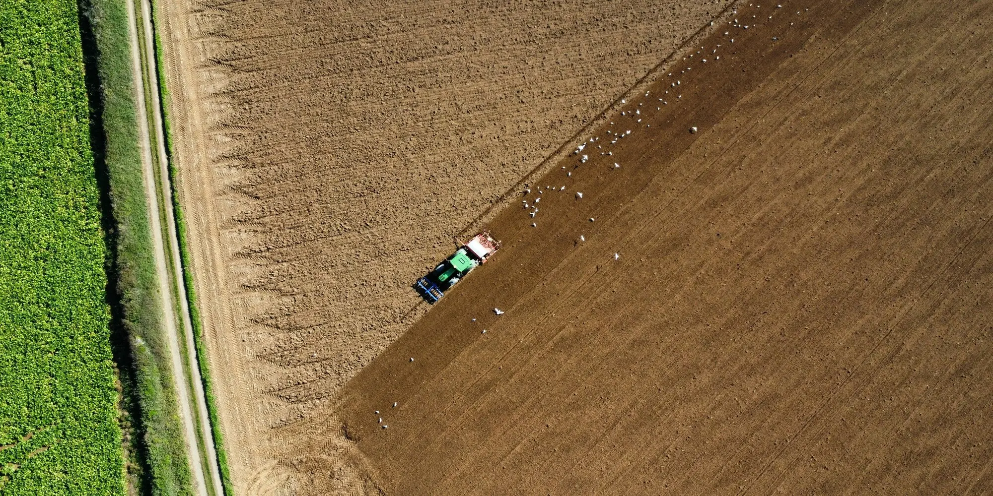 Campos agrícolas fotografiados con dron